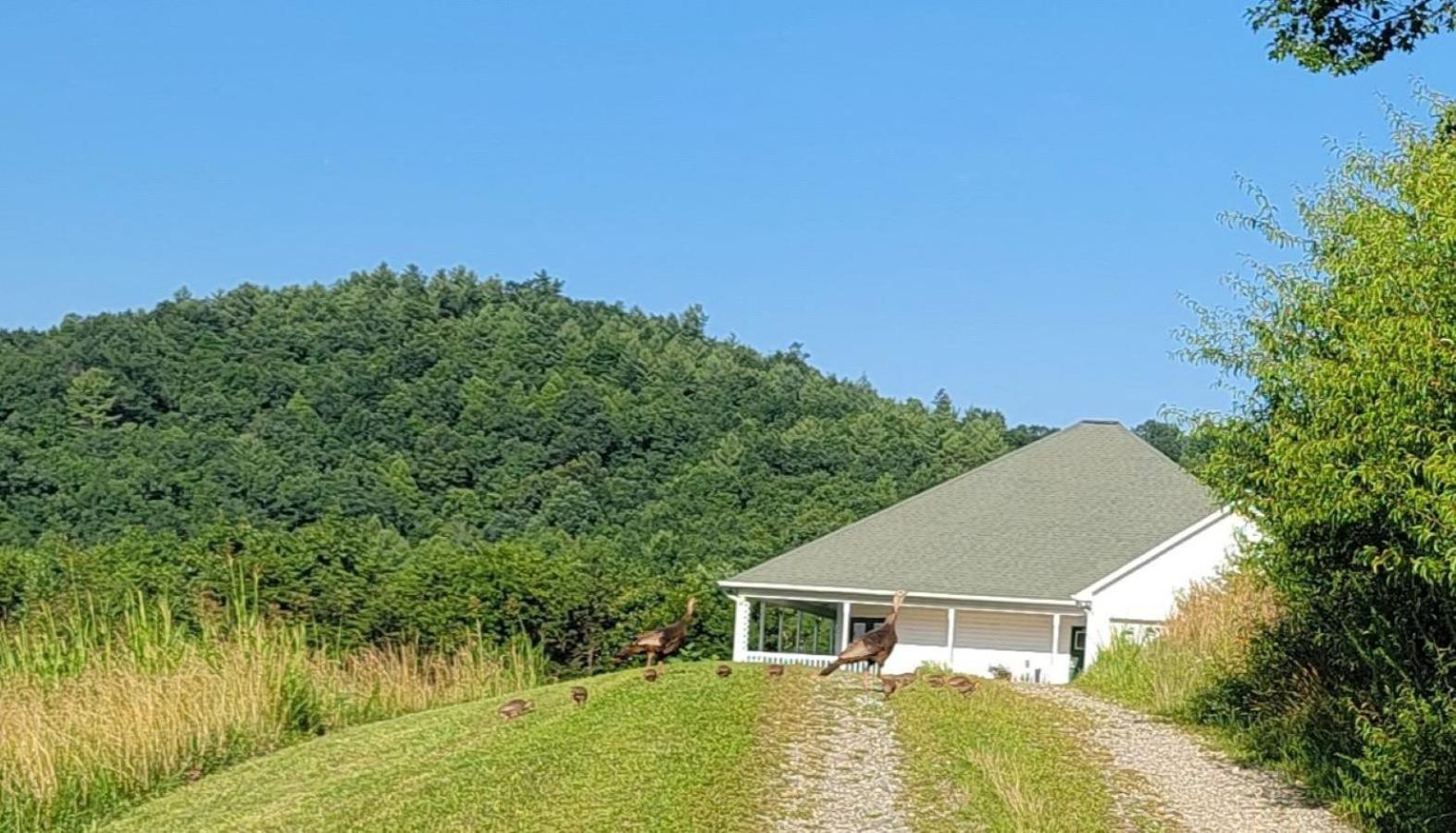 Villa Mountain Retreat House To Relax And Enjoy Lenoir Exterior foto